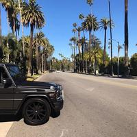 Отзыв от Максим - DTV виза